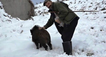 NEOBIČNI LJUBIMAC Hercegovac udomaćio divljeg vepra