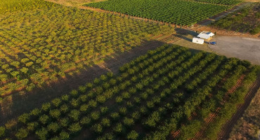 Agronomski fakultet Rodoč