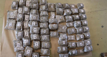 Policijski pas kod Dubrovnika otkrio više od 36 kg droge