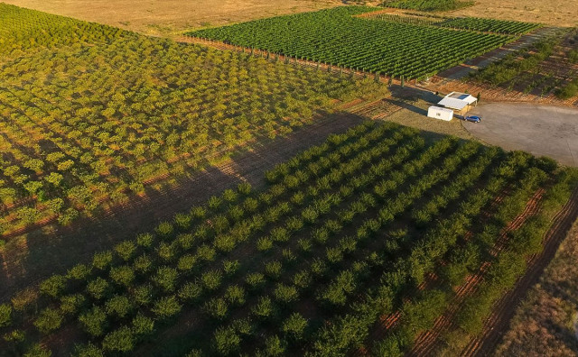 Agronomski fakultet Rodoč