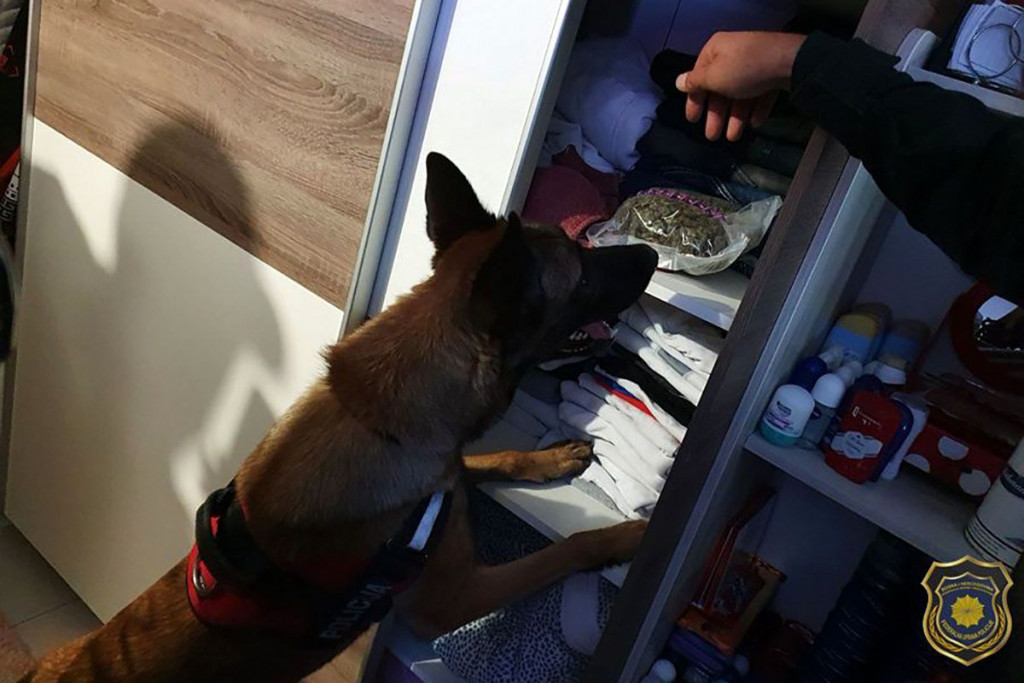 CANABIS I AMFETAMIN U dvije odvojene akcije, FUP uhitio dvije osobe i zaplijenio drogu