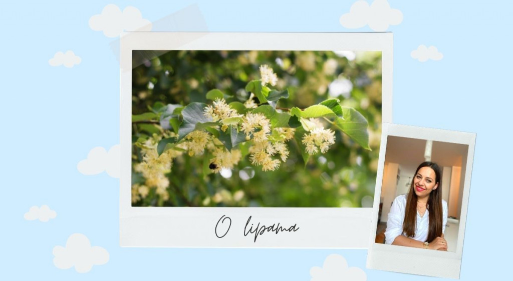 KOLUMNA JELENE ROZIĆ O lipama