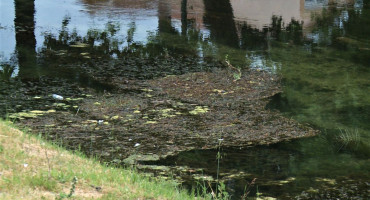 PRIRODNA LJEPOTICA UGROŽENA Građani potpisuju peticiju za spas Trebišnjice