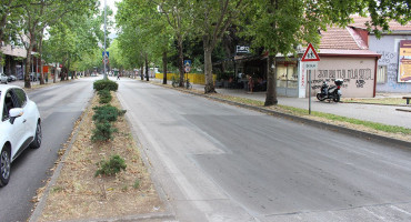 Avenija deseta osnovna skola