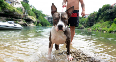 Spas od vrućina traži se na razne načine, sredina tjedna donosi temperature do 40 stupnjeva