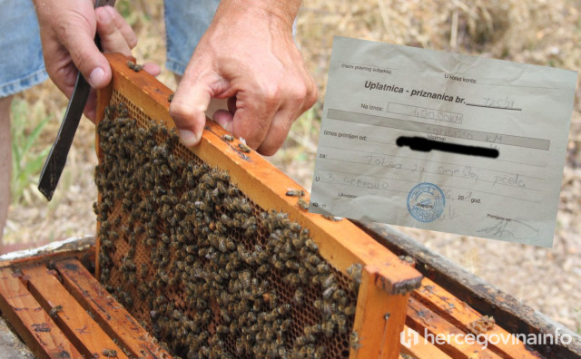 PČELARI NA KOLJENIMA "Nemamo alate koji bi zaštitili naš domaći med od patvorenog na tržištu"