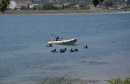 Potraga Mostarsko jezero