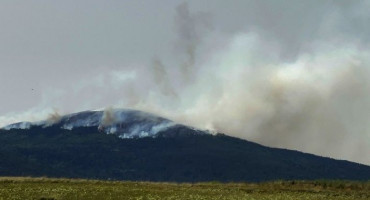 požari