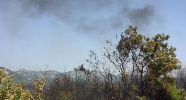 POŽAR KOD NEUMA Vatrogasci obranili kuće i nekadašnju tvornicu