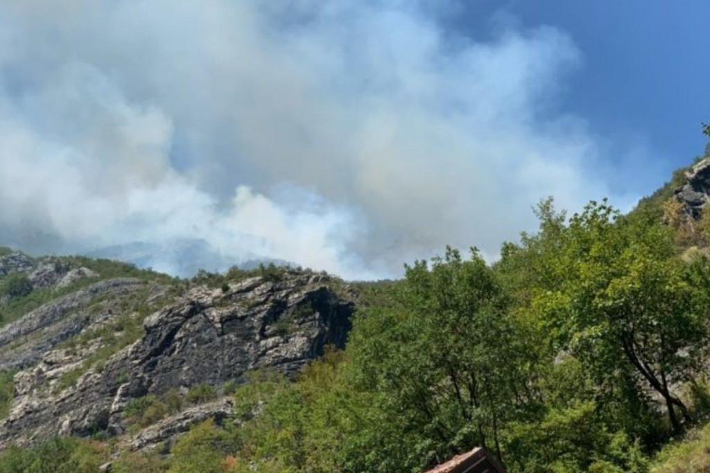 ZAŠTO NITKO NE DJELUJE? Vlasti jedni druge zadužuju da reagiraju, a do tada sve izgori