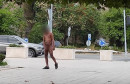 Naga osoba šetala Mostarom, bila i u parku, roditelji s malom djecom upozoravaju na neugodnost