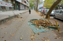 Čišćenje lišća Splitska ulica