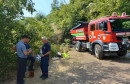 Jablanica požar