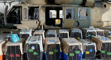 Posljednji američki vojnik napustio Afganistan, pse ostavili u zračnoj luci. Dvadesetogodišnji rat je i službeno gotov
