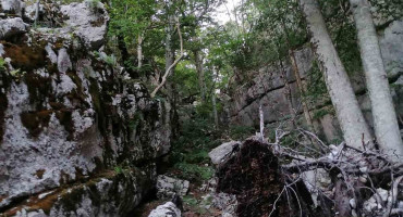 GSS Mostar spasio izgubljenu osobu