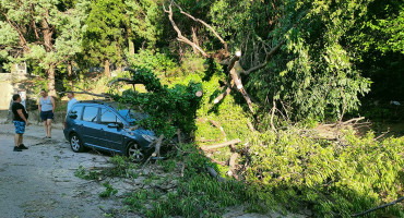 MOSTAR U padu stabla oštećen automobil i elektromreža