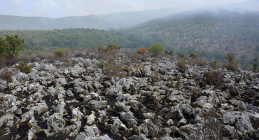 Svačići Vranjevići požar