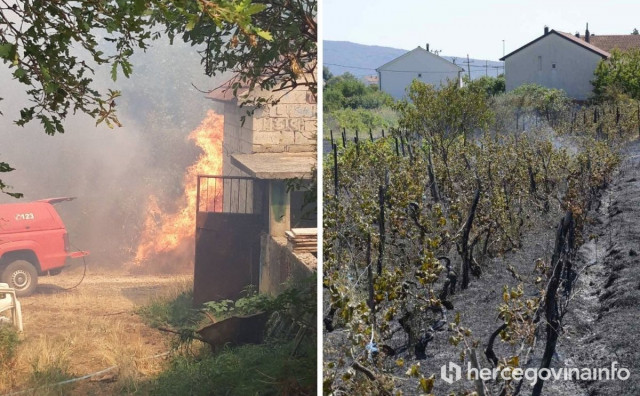 ČITLUČKI GRADNIĆI Izgorjeli vinogradi, košnice i voćke, vatra stigla do štala i kuća