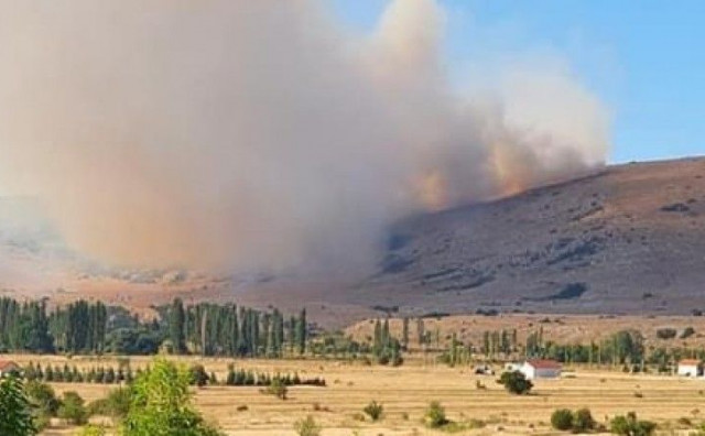 OPĆINA TOMISLAVGRAD Veliki požar prijeti šumama, ugrožene kuće tri naselja