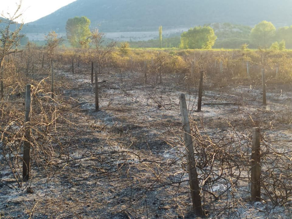 LJUBUŠKI Izgorio veći dio polja Jezerac