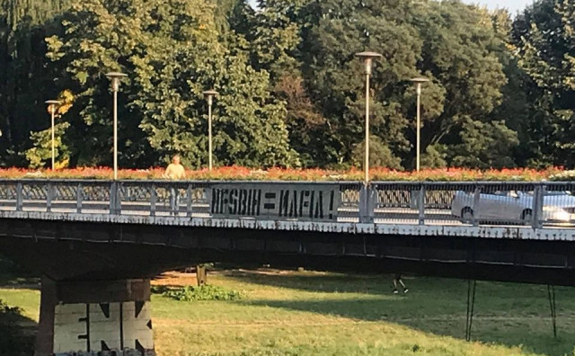 NS BIH
