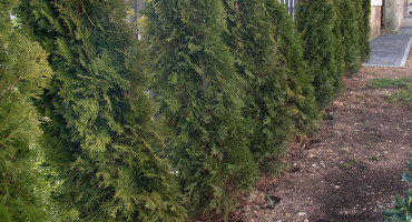 Obogatite okoliš i postanite akter pozitivnih utjecaja na klimatske promjene