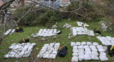 Trebinje marihuana zapljena