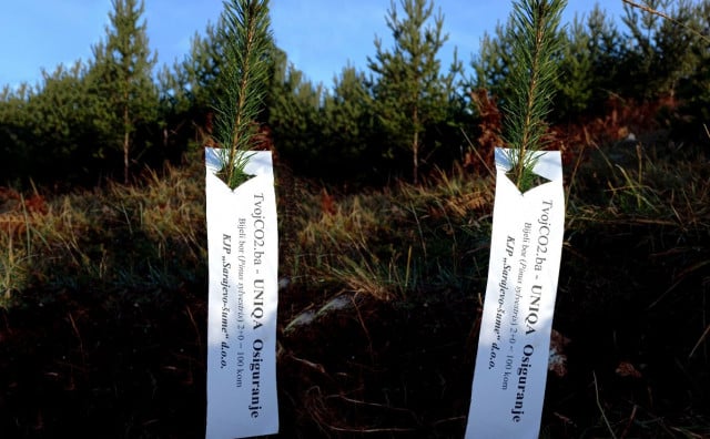 UNIQA Osiguranje sadnjom 500 stabala podržalo projekat “Tvoj CO2”