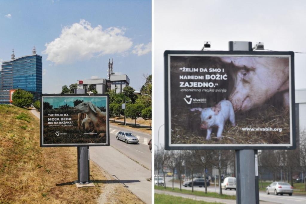 VEGANI NA DJELU Za Bajram se ispričavali zbog mame ovce, a građansku hrabrost pokazali na svinji i Božiću
