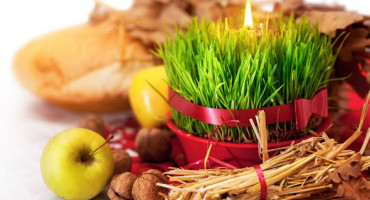 KAKO DO NAJZELENIJE PŠENICE Danas je sv. Lucija, 12 dana do Božića