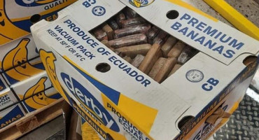 PONOVNO ISTA KOMBINACIJA Policija pronašla 400 kilograma kokaina u kutijama banana
