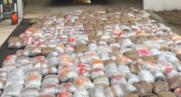 NA ULAZU U BIH Spriječeno krijumčarenje 300 kilograma skunka