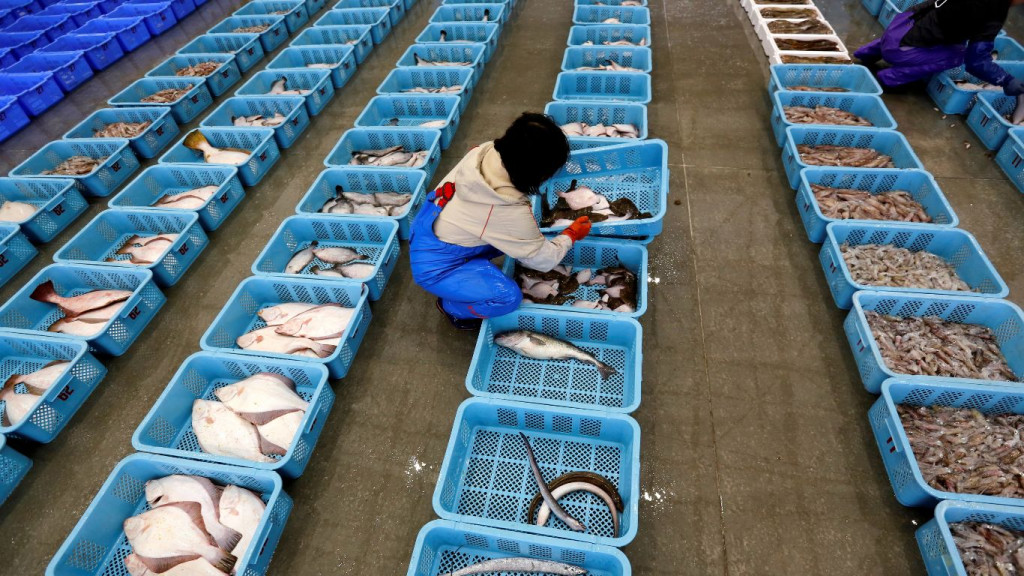 ZELENO SVJETLO Tajvan počinje s uvozom hrane iz Fukushime, 11 godina nakon katastrofe u nuklearnoj elektrani