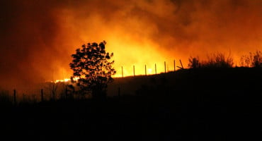 Buknuo požar u Konjicu, gore šuma i raslinje na djelomično miniranom terenu