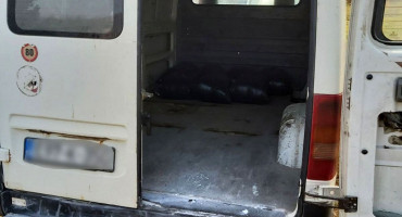 Zapljena duhana Ljubinje