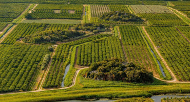 PROBLEMI U NERETVANSKOJ DOLINI 'Razmišljamo preskočiti gnojenje, jagode će biti prvi test'