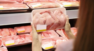 CIJENE OSTAJU ISTE Nema naznaka da će pojeftiniti piletina, peradare muče brojni problemi