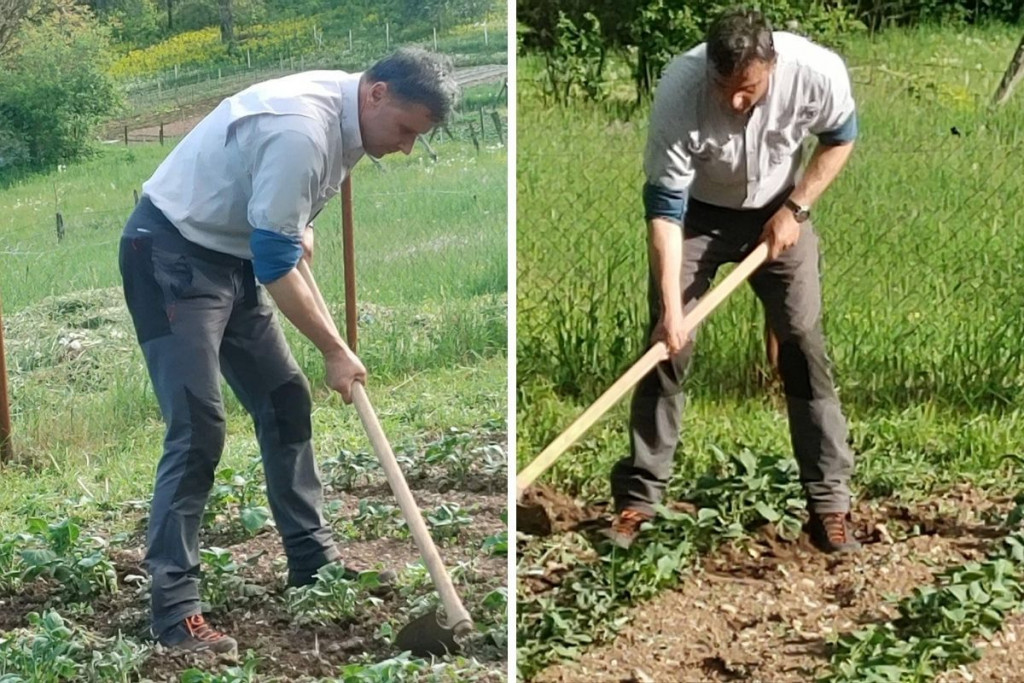 37 POSTO MANJE TRAVE Fadil Novalić se pohvalio kako je okop'o pola bašte