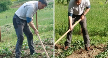 37 POSTO MANJE TRAVE Fadil Novalić se pohvalio kako je okop'o pola bašte