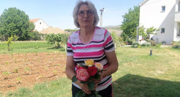 UMIROVLJENA PROFESORICA U CARSTVU RUŽA 'Lakše je raditi s ružama, nego u bilo kojoj javnoj instituciji'