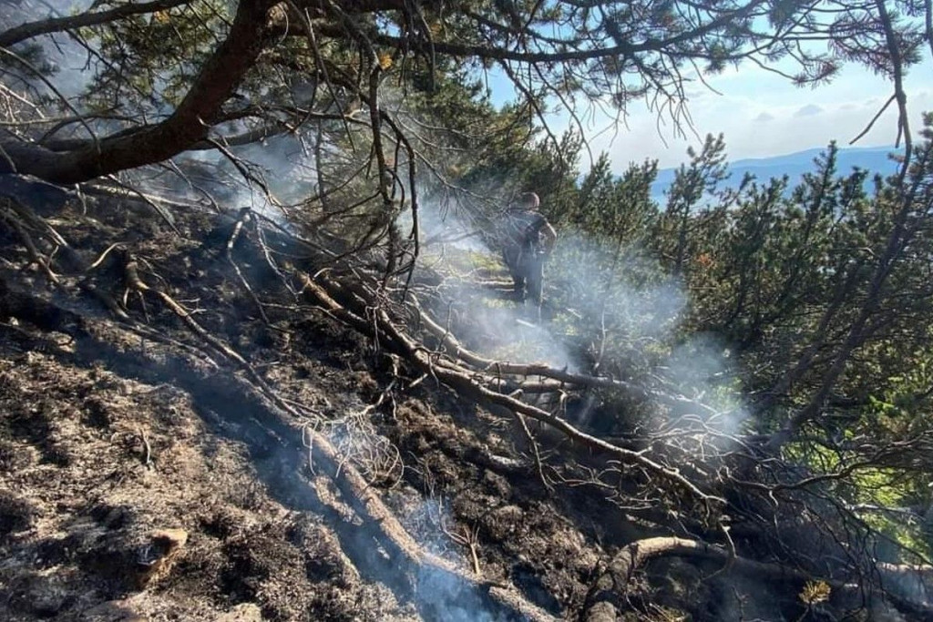 DRUGU GODINU ZAREDOM BOG GASI POŽARE Gore panjevi kog Boračkog, ponegdje trava, no stanje na terenu stabilno