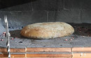 Kruh ispod sača Baković