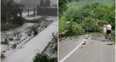 KAO DA JE PAO SNIJEG Nevrijeme pogodilo pojedina područja Bosne i Hercegovine, drveće palo na automobil