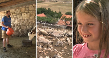 Obitelj koja prkosi trendovima. Žive od stočarstva, zajedno su u svemu, a čak i najmlađa kćerka (8) čuva krave