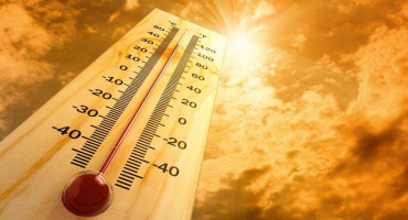 Kako izbjeći sunčanicu i posljedice toplotnog udara?