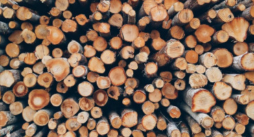 The Government of RS requests a ban on the export of logs and energy products from Bosnia and Herzegovina