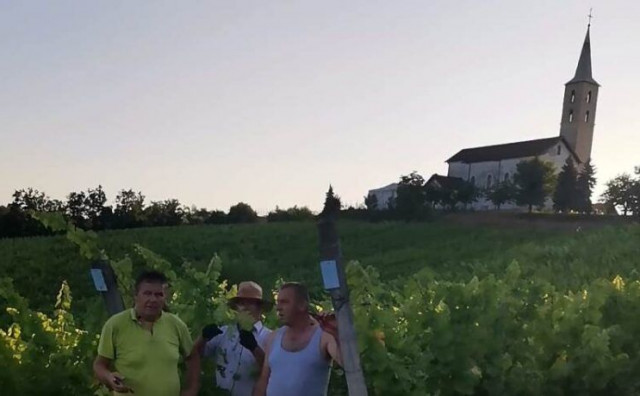 naš trs,Banja luka,vinogradi,svećenik