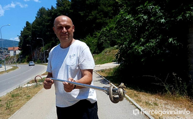 Mišo - spas mnogima koji muku muče sa zmijama i stršljenovima. Svima pomaže 'golim rukama' i potpuno besplatno