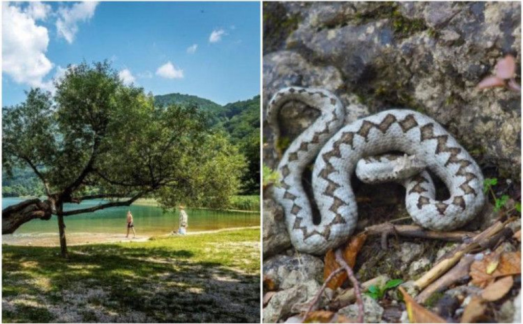 Na Boračkom jezeru dječaka ujela zmija, ne nalazi se u životnoj opasnosti