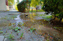 Fekalije 'osvježile' Park nobelovaca, turisti mogu uživati u kanalizacijskim miomirisima